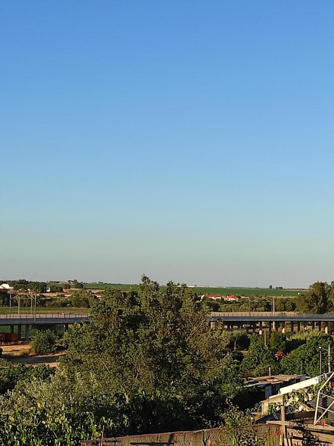 Mansao Alentejana Al Villa Alvalade Buitenkant foto